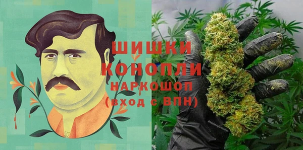 дживик Нефтегорск