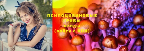 spice Нея