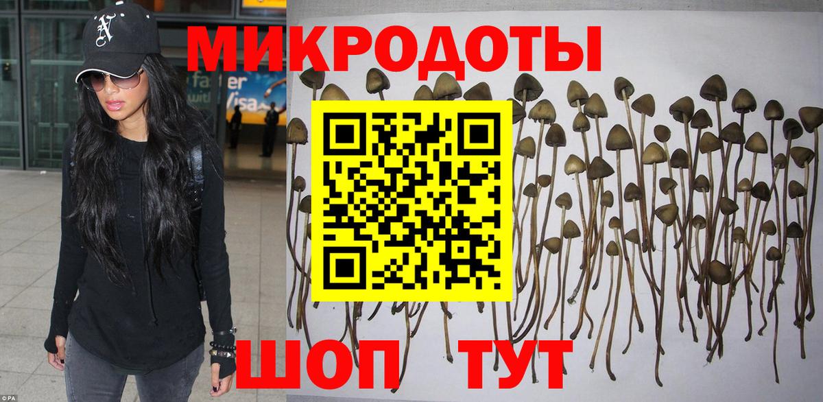 Псилоцибиновые грибы Cubensis  Вход с VPN  Отрадное 