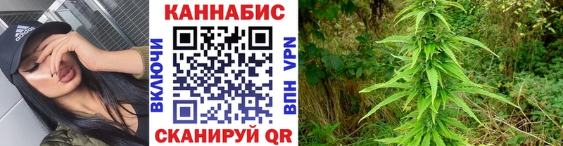МАРИХУАНА конопля  Отрадное 